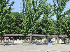 -晋祠公园
