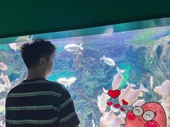 -常州海昌海洋探索馆