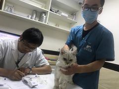 -安安宠医·安宠宠物医院