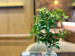 -THE WOODS 简餐 (国贸商城店)