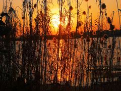 -千龙湖生态旅游度假区