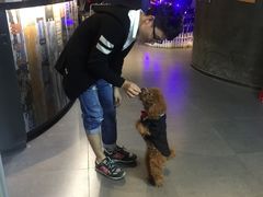 -CIAO·团建聚餐·生日派对轰趴馆(福田店)