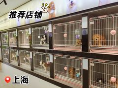 -翊宠yipet猫狗购宠庄园