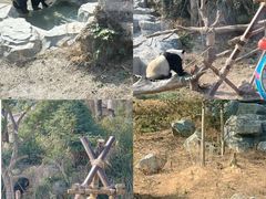 -宁波野生动物园