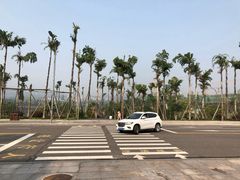 -枫香湖儿童公园