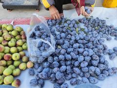-张掖大佛寺景区