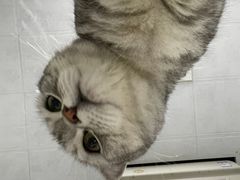 -纳吉亚猫专科动物医院博雅分院