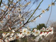 -西山风景区