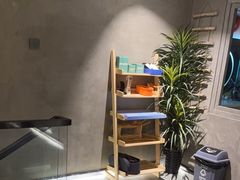 -施奈儿.洗头頭療.按摩SPA.采耳(上梅林店)