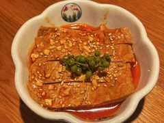 巴蜀豆衣-庆春朴门