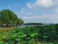 -长春市南湖公园