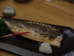 -一本钓鲔鱼屋