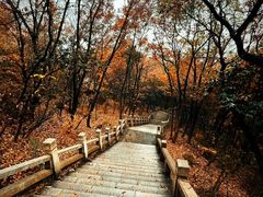 -灵岩山风景区