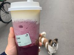 -喜茶(徐州金鹰店)