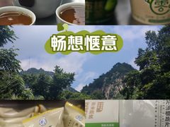 -大岭沟猕猴桃谷风景区