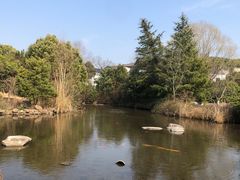 -白马涧龙池景区