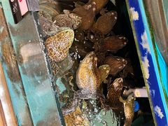-乐在集市海鲜大排档(平潭店)