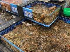 -东海怡品海鲜豆捞(舟宿夜江店)