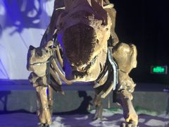 -亿利库布其七星湖沙漠生态旅游区