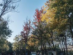 -回龙观体育文化公园