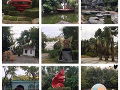 -深圳国际园林花卉博览园