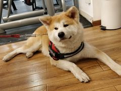 -YCHL Studios健身工作室(市二宫店)
