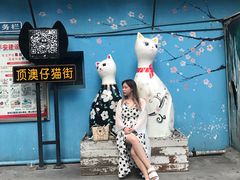 -猫咪博物馆(顶澳仔猫街店)