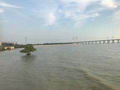 -宝安西湾红树林湿地公园