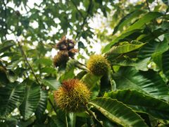 -味好美土菜(迎宾东路店)