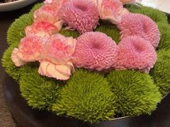-虹之森·小馆