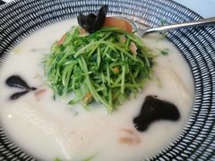 鱼汤竹荪豆苗-丽晶轩中餐厅(重庆丽晶酒店)