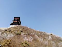 -定都峰
