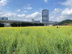 -光明小镇欢乐田园
