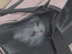 -宠颐生中康贝怡动物医院