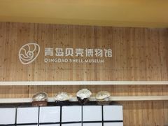 -青岛贝壳博物馆