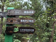 -江苏三台山国家森林公园