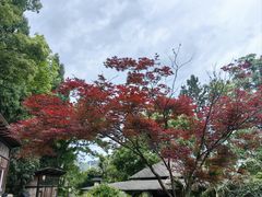 -明月山天沐温泉度假村