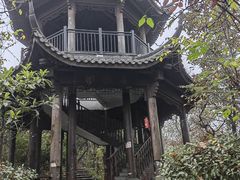 -杭州半山国家森林公园