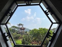 -顺峰山公园