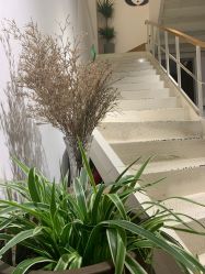 -M+hair salon专业造型沙龙