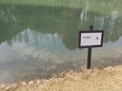-新洲生态园