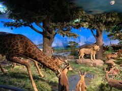 -国家自然博物馆