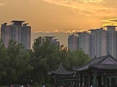 -莲花池公园