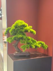 -品真阁(西红门荟聚店)