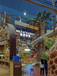 -卡通尼·Safari非洲探索乐园·生日会(金桥国际商业广场店)