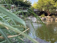 -墨池公园