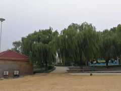 -泰山天颐湖旅游度假区