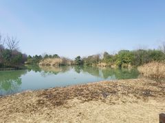 -西溪国家湿地公园