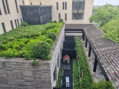 -上海崇明金茂凯悦酒店