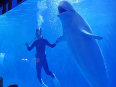 -多彩贵州城极地海洋世界